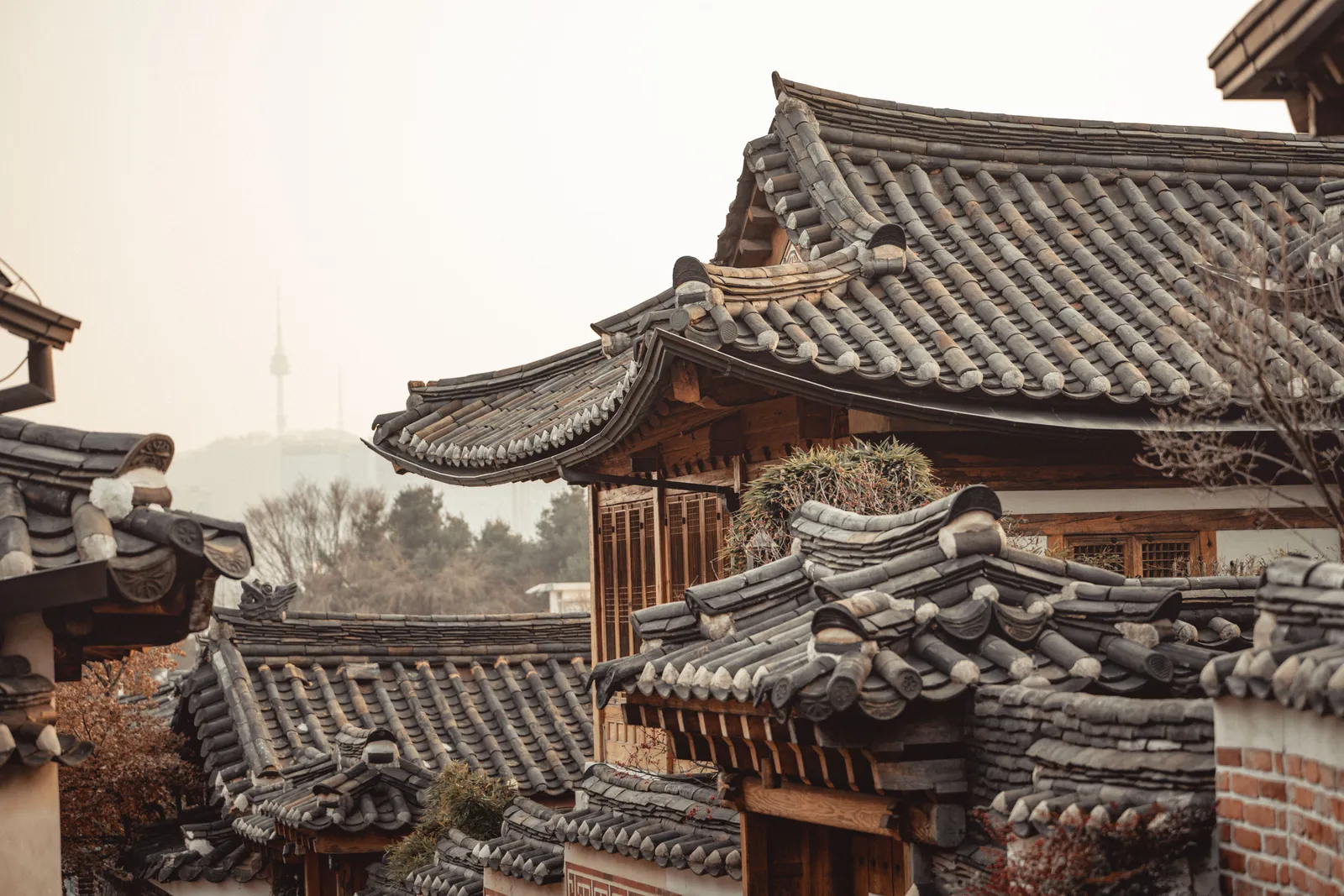 Tiled hanok rooftops with the N Seoul Tower on the hill behind, Seoul, South Korea