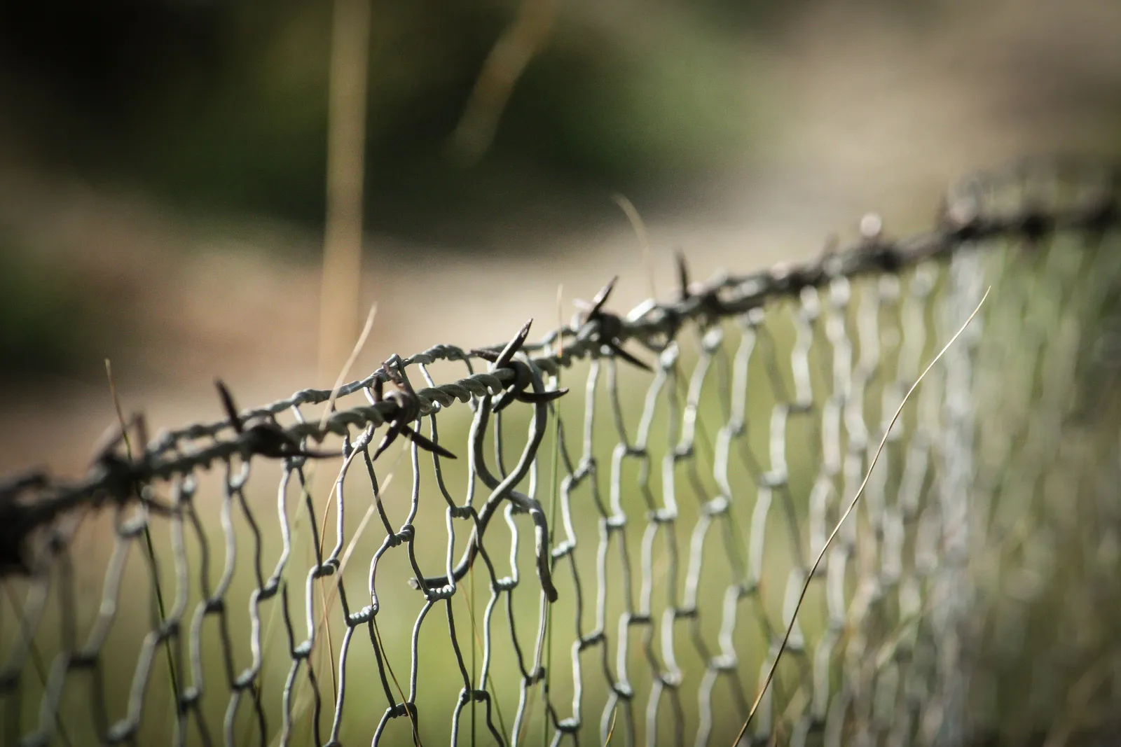 Barbed wire strung along a wire fence in the countryside near the border, South Korea
