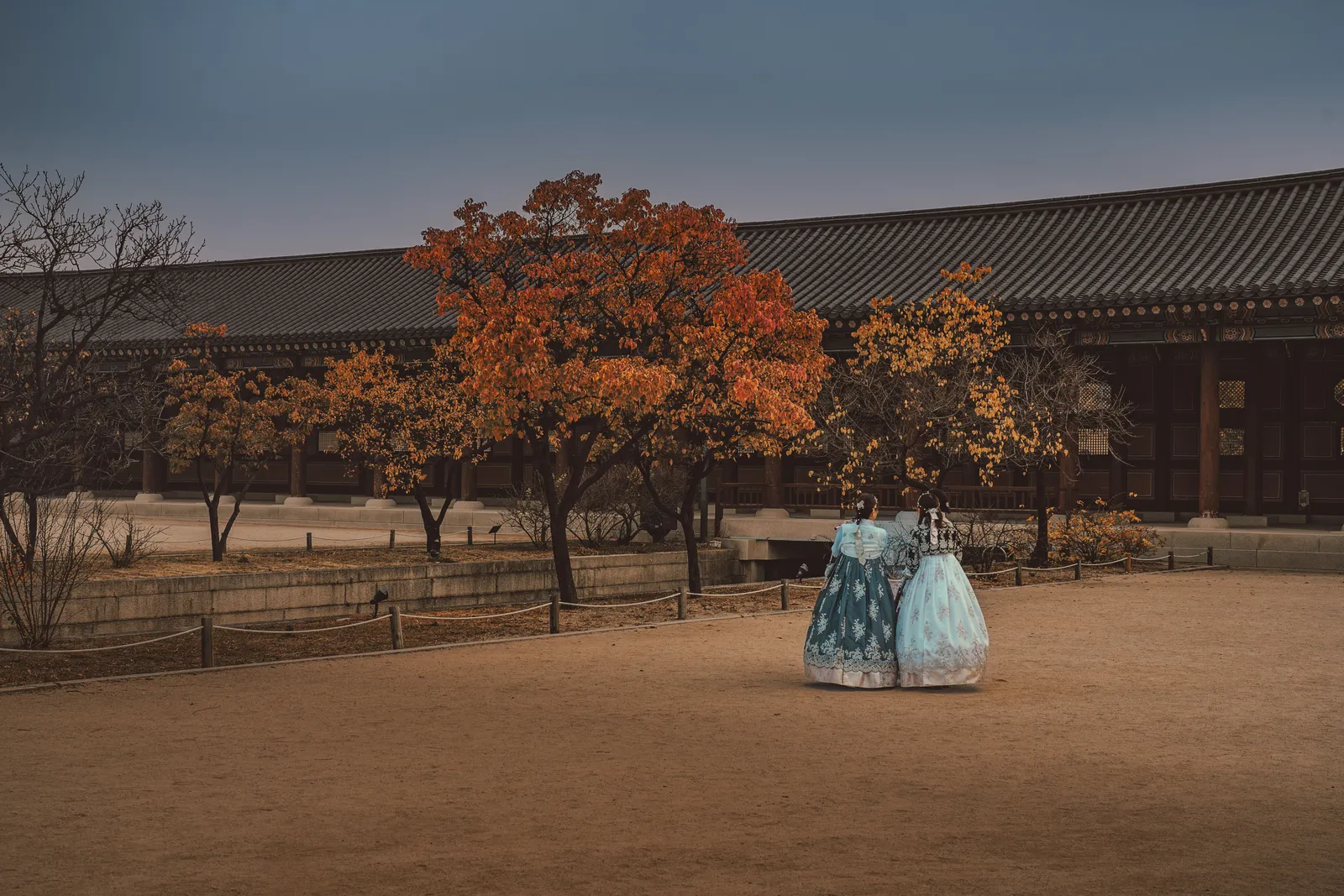A visitor in hanbok standing in the grounds of a Seoul palace with an autumn tree behind, South Korea