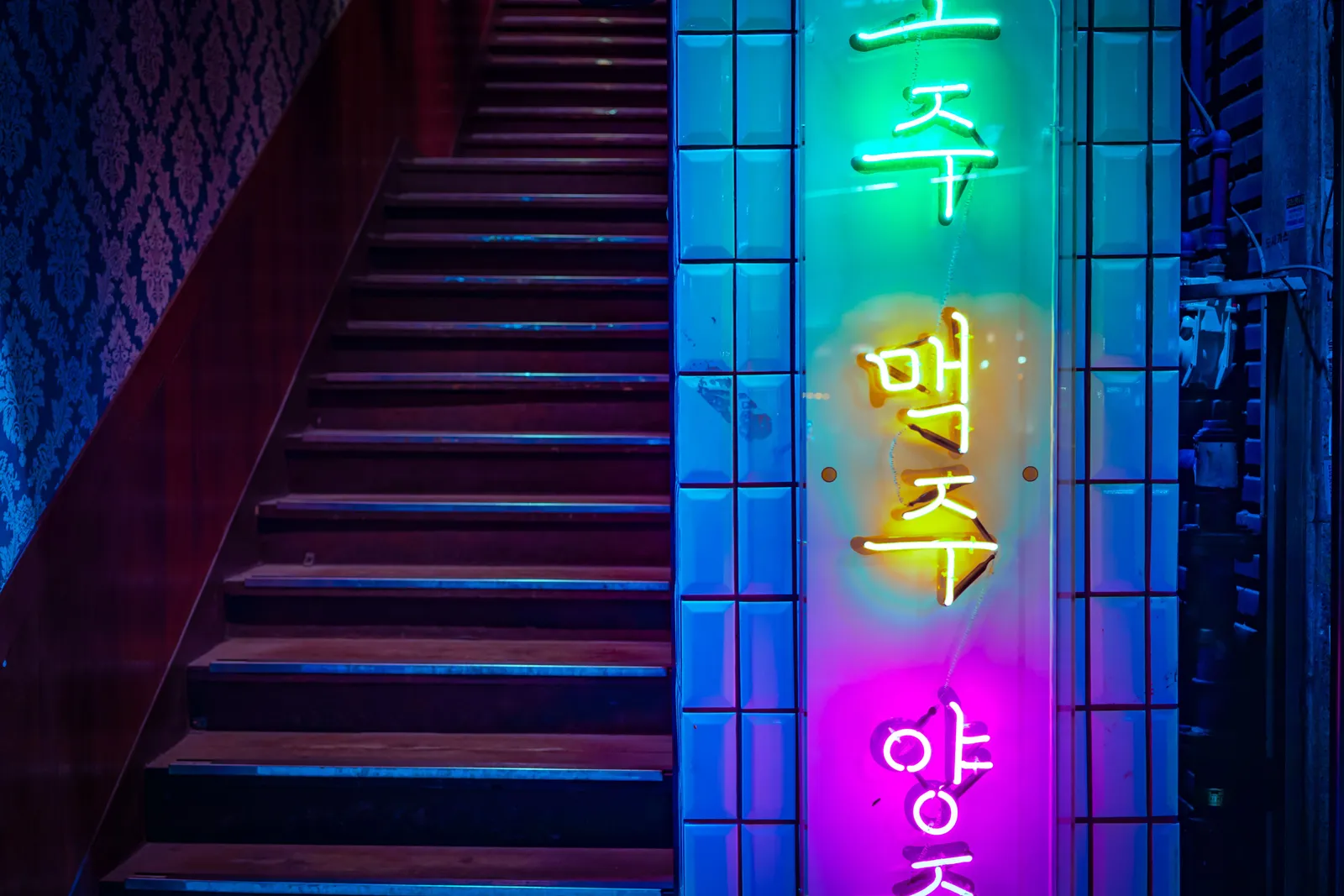 Neon bar signs glowing along a narrow street at night, Seoul, South Korea