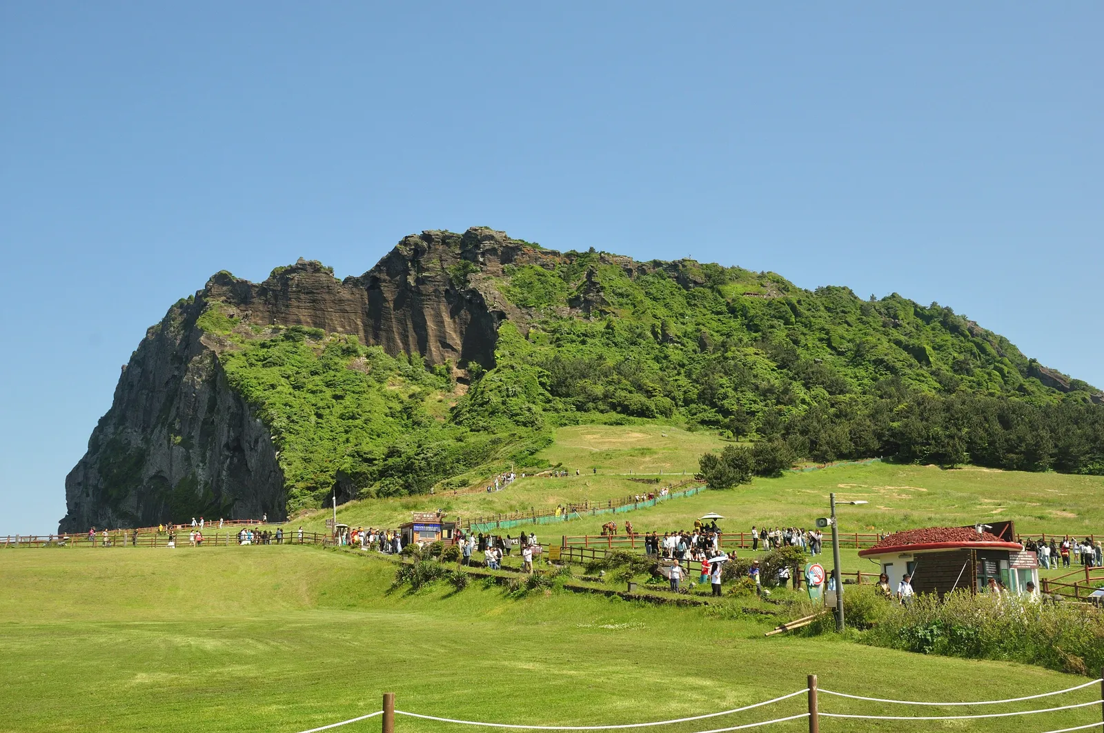 The green tuff cone of Seongsan Ilchulbong rising above grassland with visitors on the path, Jeju island, South Korea