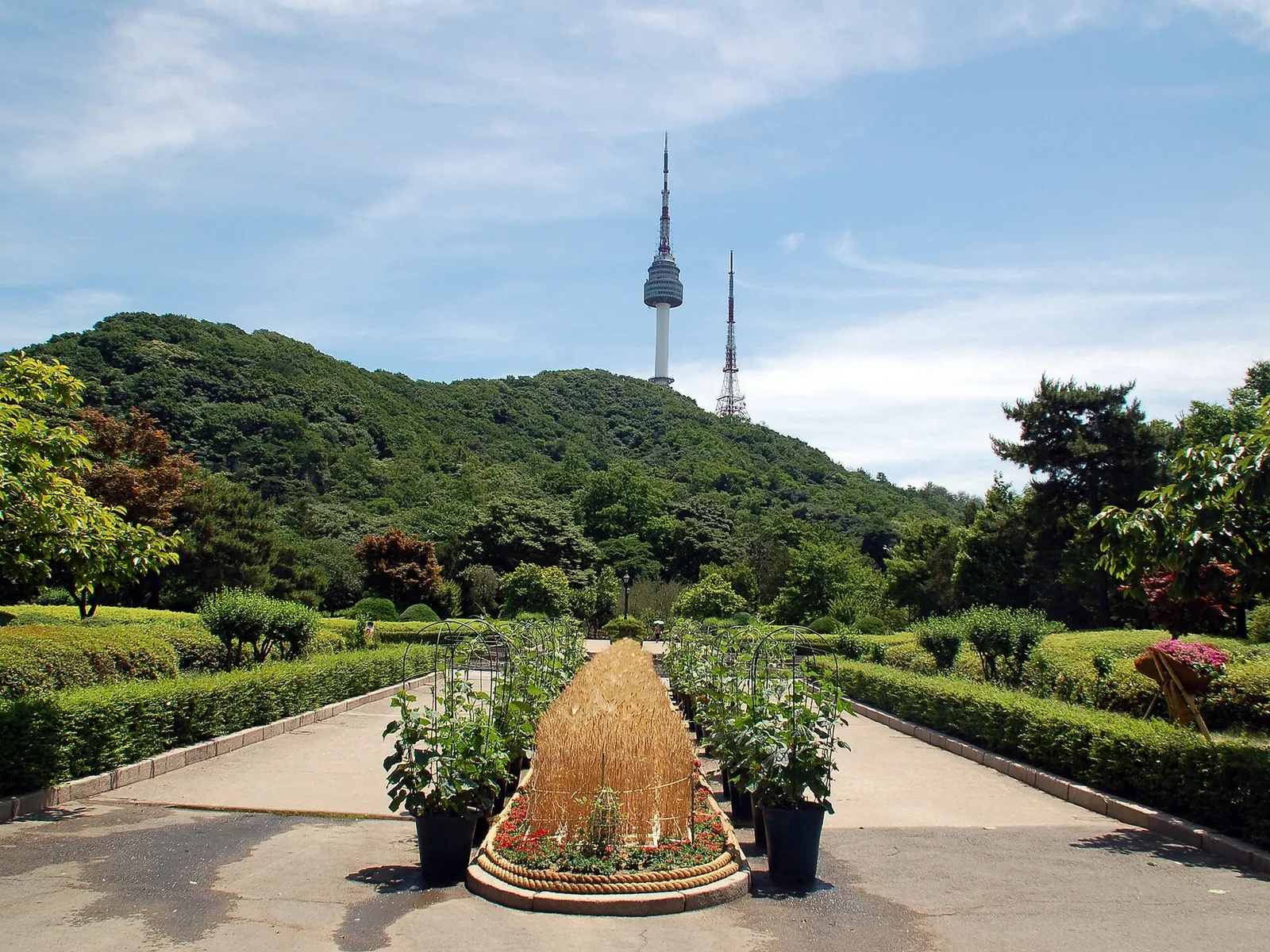 The wooded slopes and walking paths of Namsan park above Seoul, South Korea