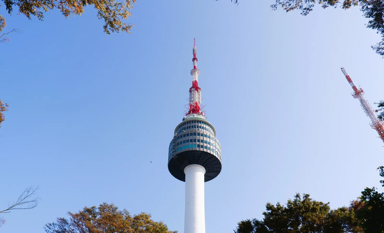 N Seoul Tower on Namsan rising against a clear blue sky, framed by tree branches