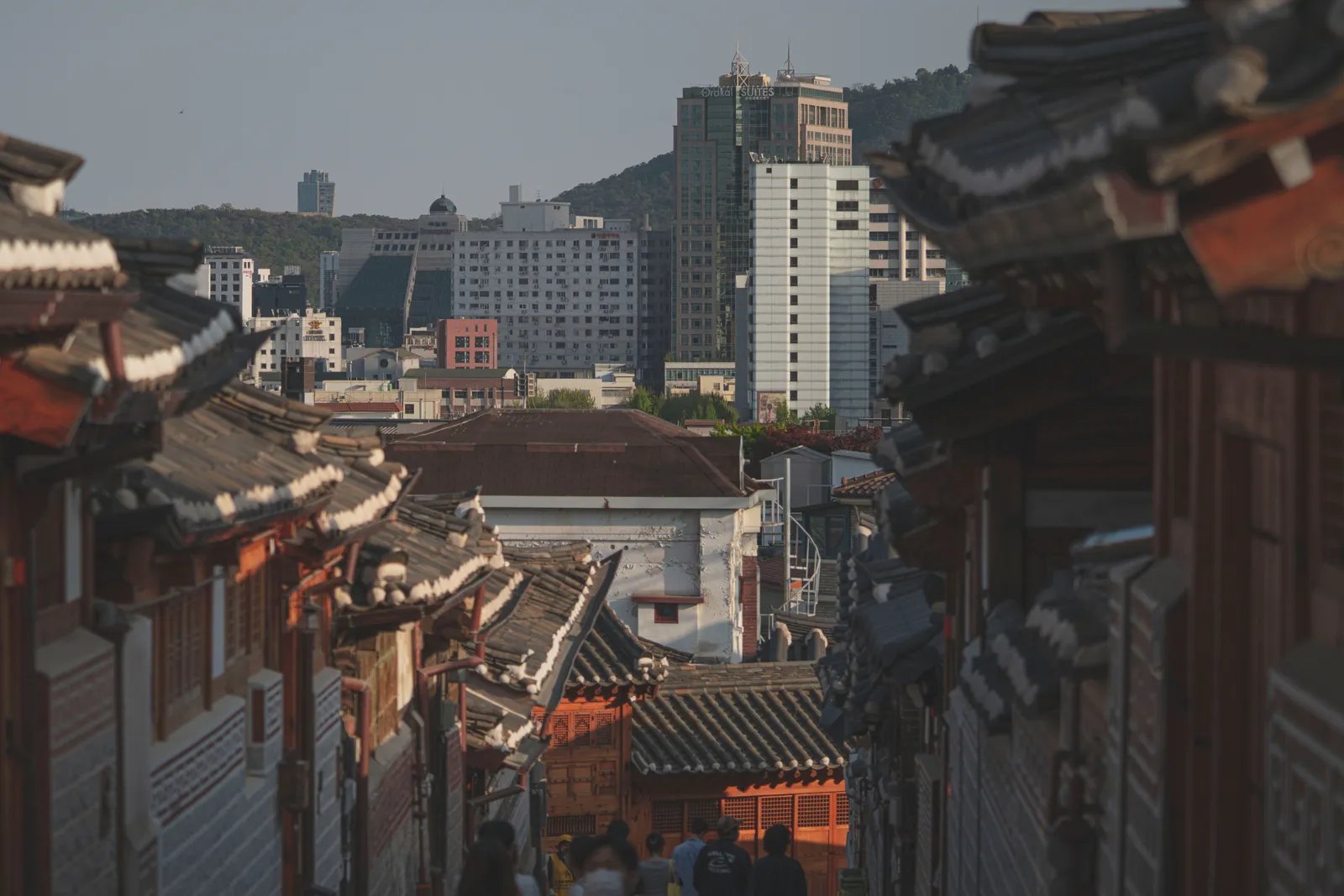 The tiled rooftops of traditional hanok houses in Bukchon Hanok Village, Seoul, with the modern city and a wooded hill behind them