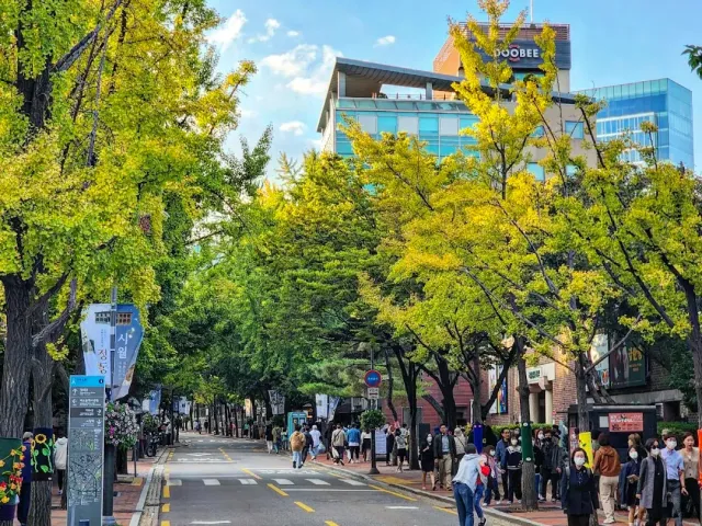 A street with an avenue of yellowing trees, pedestrians and glass buildings behind
