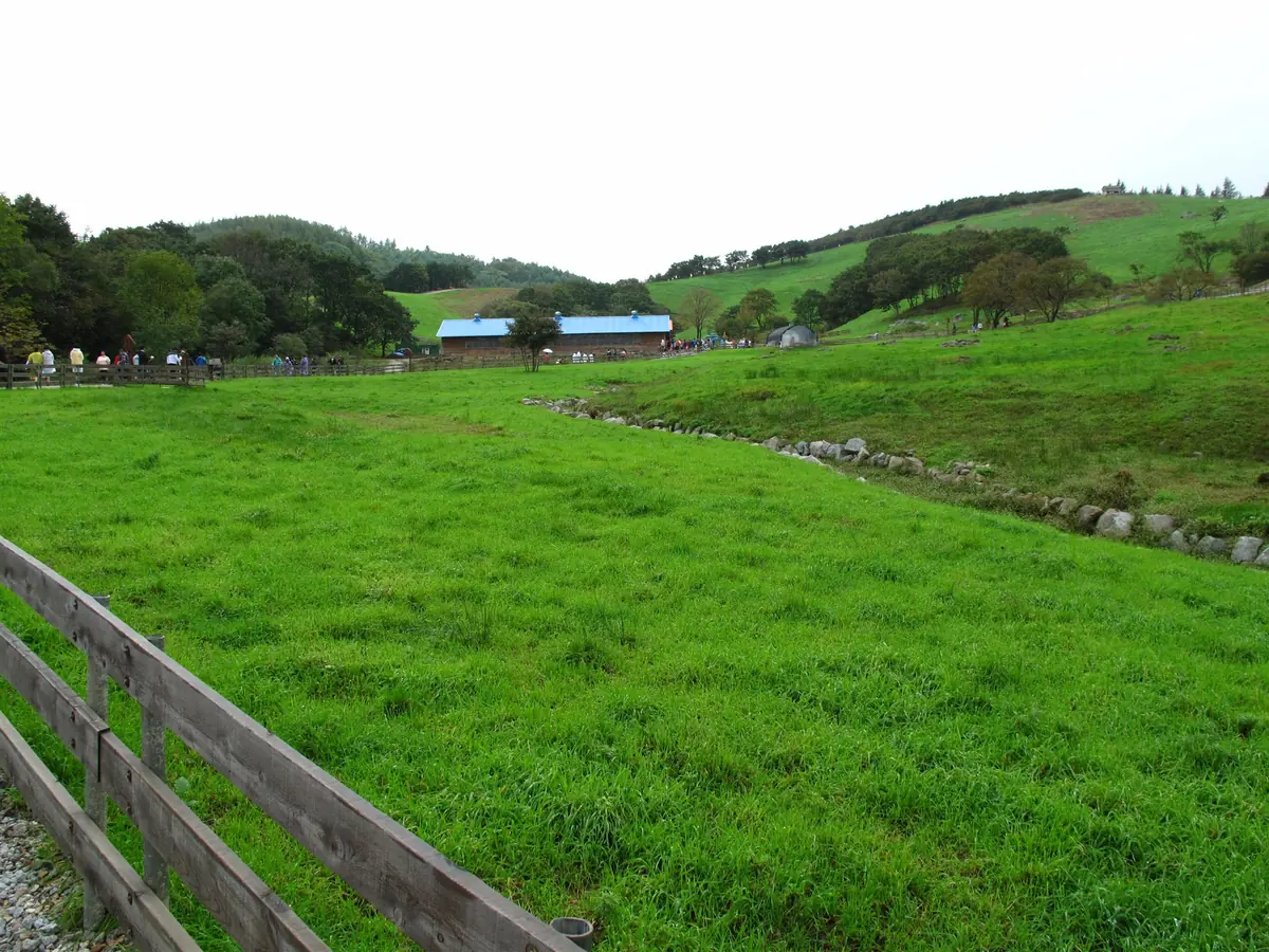 Rolling green pasture behind a wooden fence, with farm sheds at the end of the valley