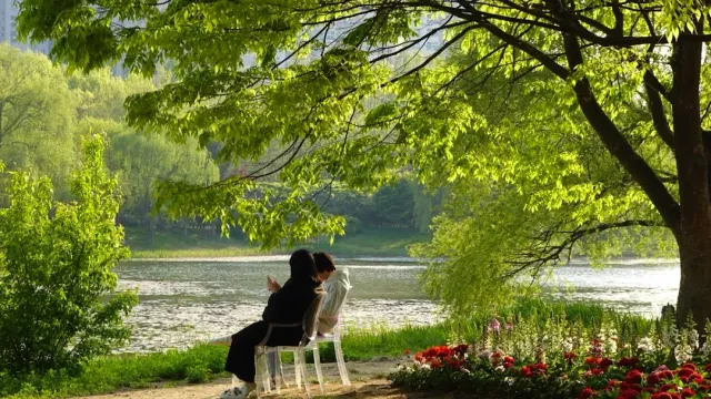 Two people sitting on a bench facing a lake, green branches and red flowers