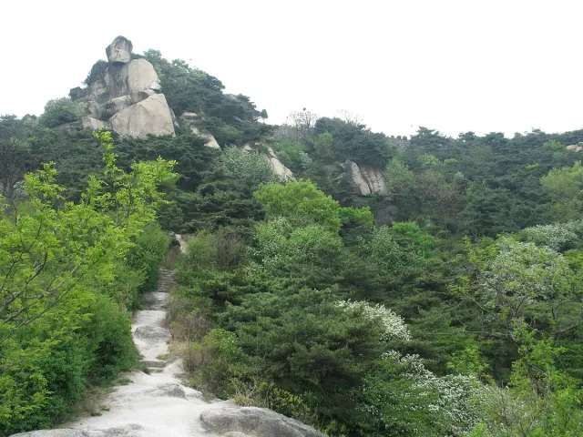 A path through scrub on a mountain slope with a bare rock summit behind