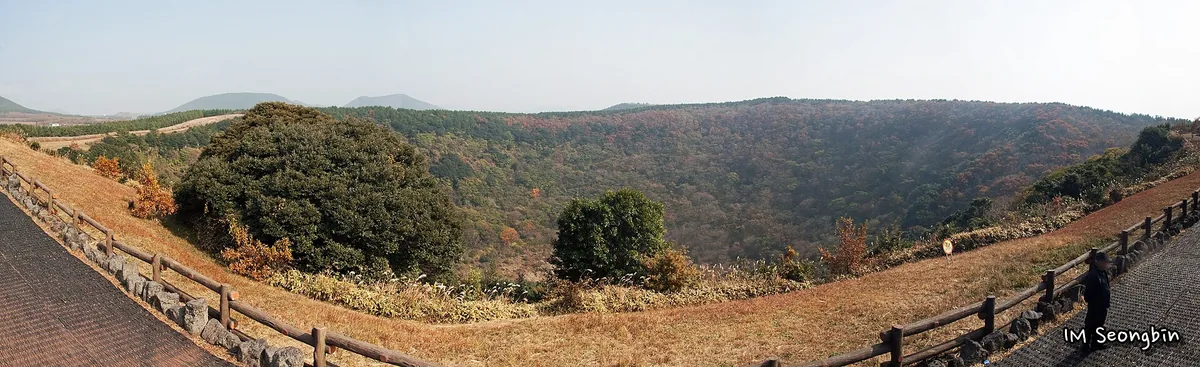 A wide volcanic crater covered in forest, with golden autumn grass along its rim in the foreground