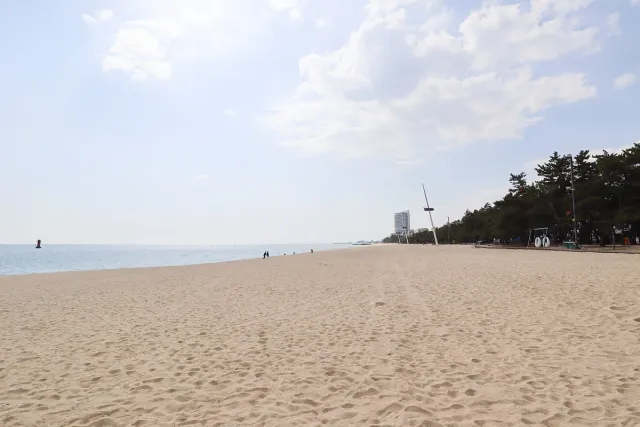 A wide empty sandy beach stretching along the sea under bright skies