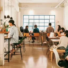 A bright space with guests at wooden tables, a tall window and greenery in the corner