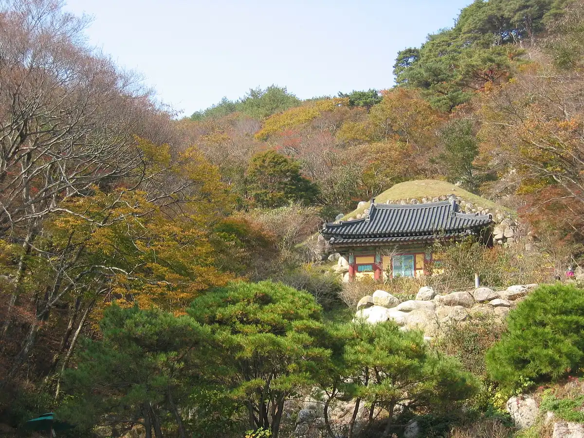 A wooden pavilion with a tiled roof built into a wooded hillside in autumn colours
