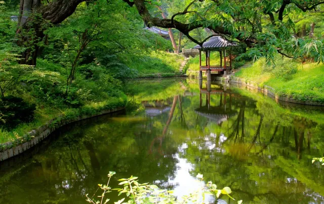 A still green pool with a wooden pavilion among dense trees
