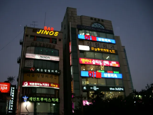 Commercial buildings at night covered with colorful neon signs one above the other