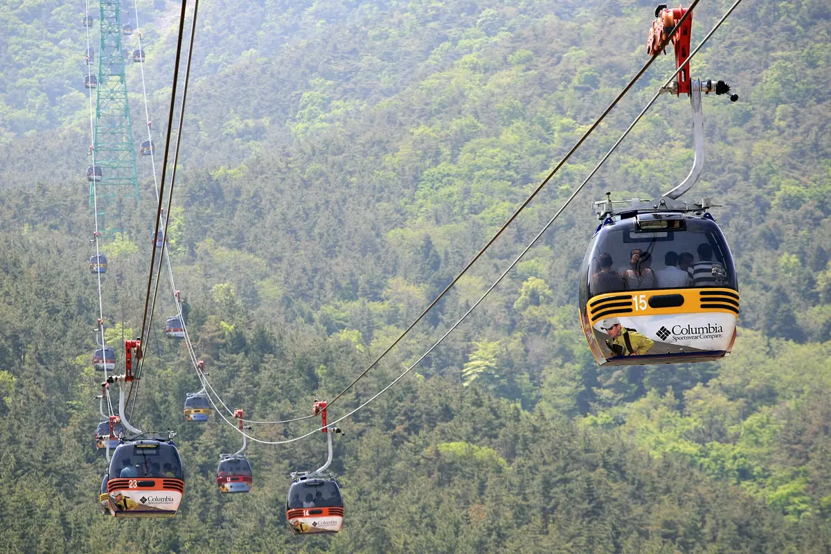 Cable car cabins passing above a green forested slope