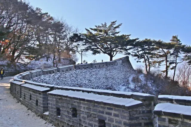 A fortified stone wall winding up a snowy slope between pine trees