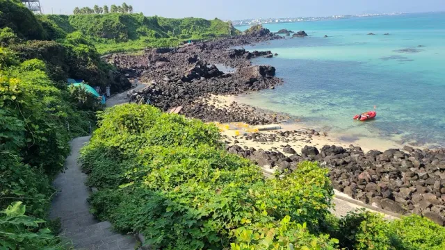 A black rock shore facing turquoise water, a stepped path among green shrubs