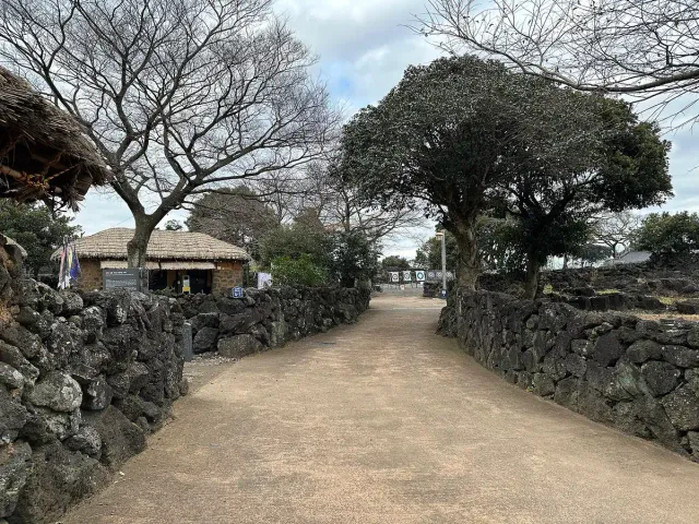 A dirt lane between black volcanic stone walls and thatched roof houses
