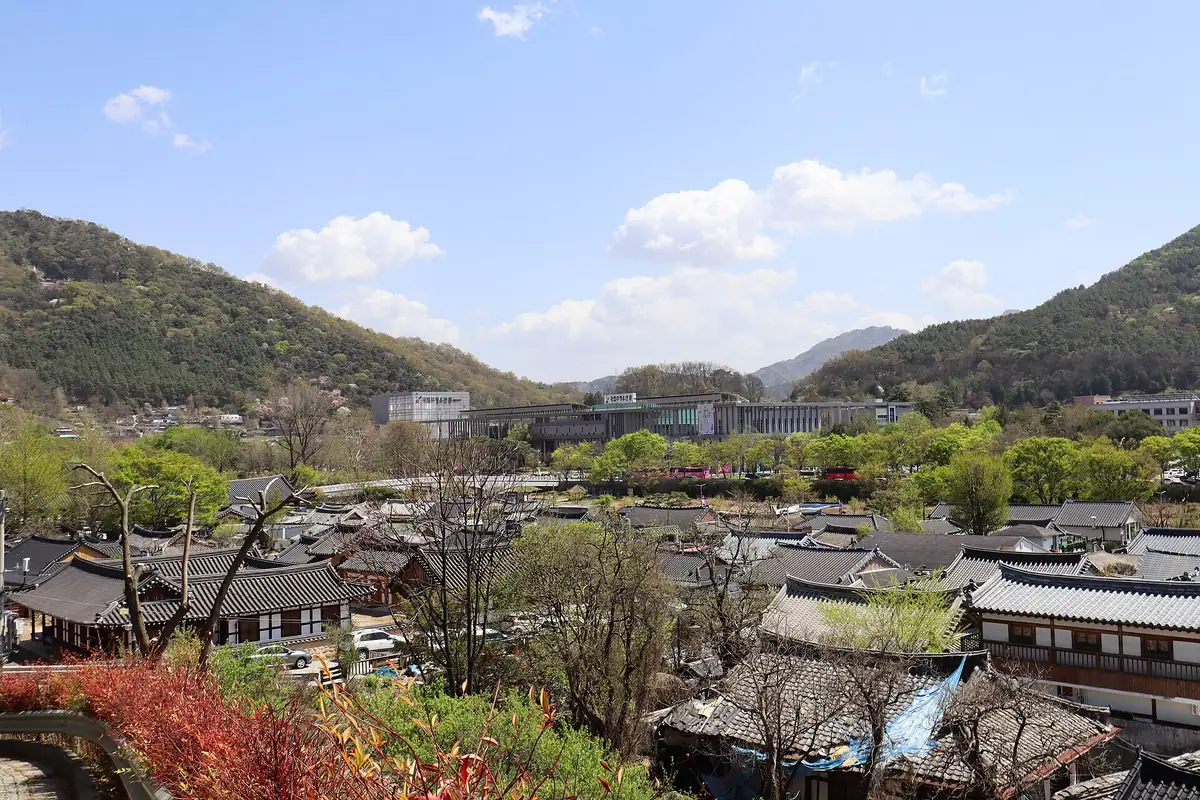 Traditional tiled roofs spreading across a valley between green hills, with red blossom in the foreground