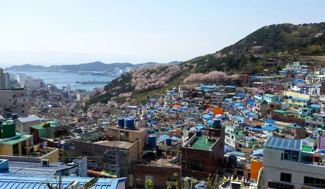 Brightly painted houses stacked up a steep hillside above the sea