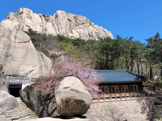A huge round rock beside a wooden building, pale granite cliffs and a pink blossoming tree