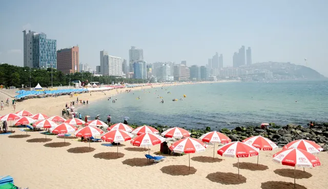 A long beach lined with red and white parasols facing residential towers