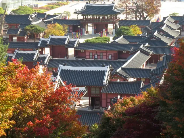 The tiled roofs of a palace compound among trees in autumn colour