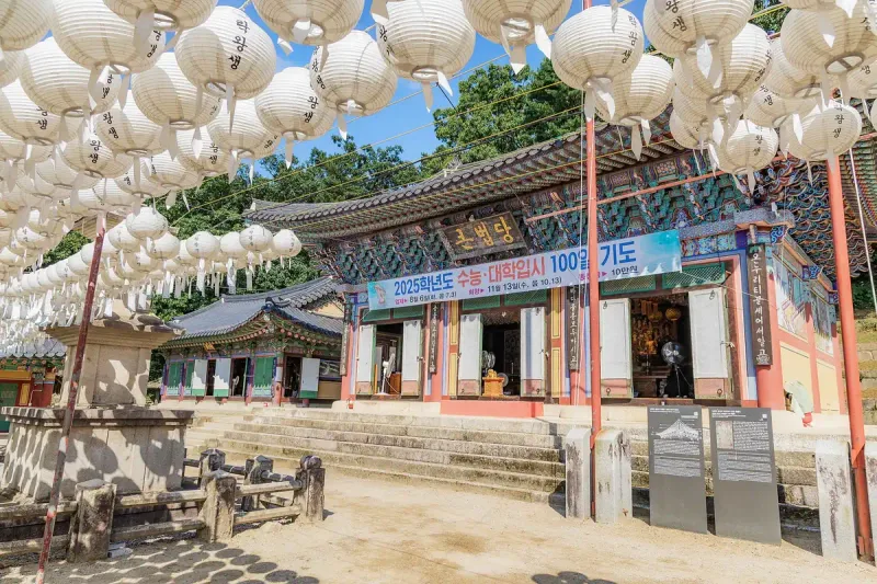 Ornate Korean temple hall beneath a canopy of white paper lanterns in the Bongseonsa courtyard