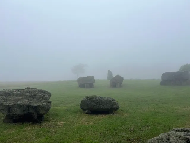Large basalt rocks scattered across a green lawn in thick fog