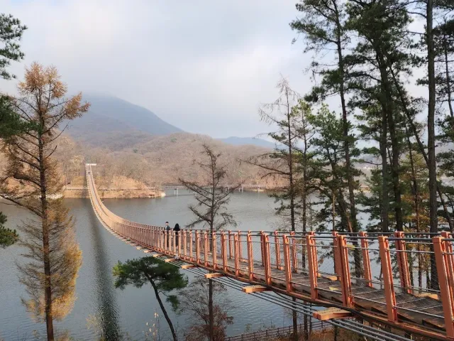 An orange suspension bridge crossing a lake, pines in front and a misty hill