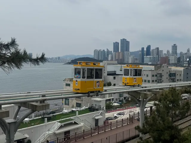 Yellow capsule cars on an elevated coastal rail with the sea and city behind