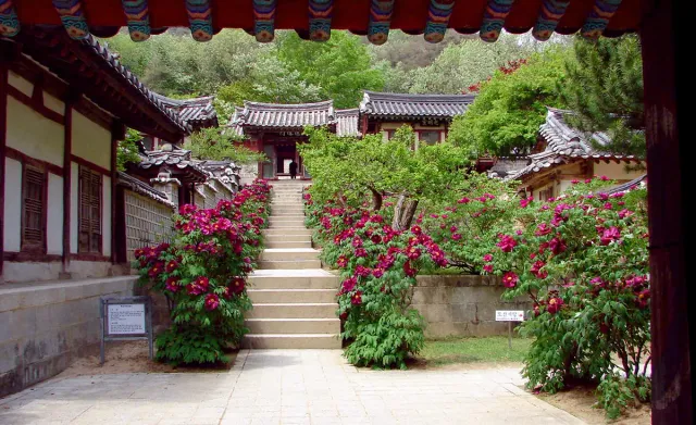 Stone steps between flowering beds leading to traditional academy buildings
