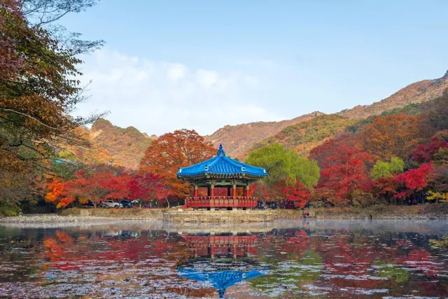 A blue roofed pavilion at a pond edge, red trees reflected in the water