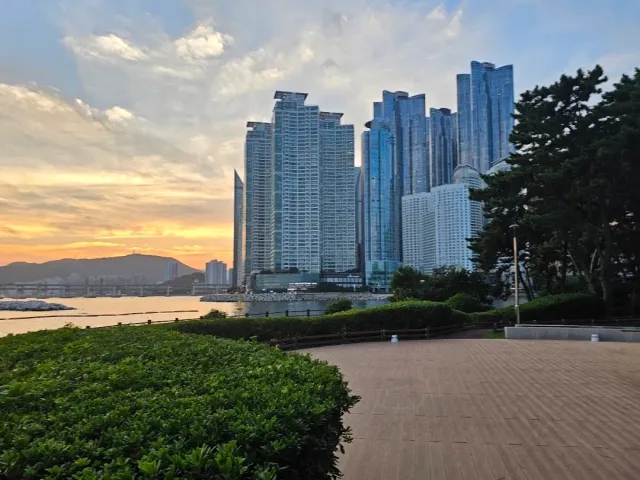 Tall residential towers above a paved plaza and shrubs, orange sunset over the sea