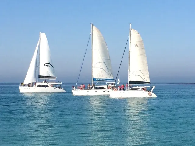 Three white sailing boats with passengers on calm turquoise water