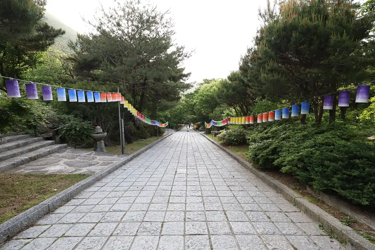 A wide stone path rising between rows of colourful paper lanterns and pine trees