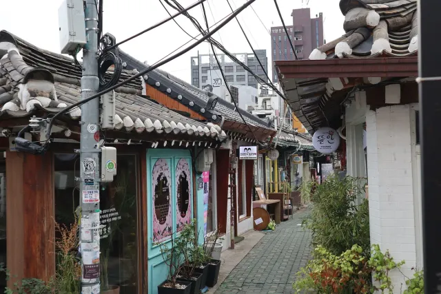 A narrow alley between hanok houses converted into shops and cafes with potted greenery