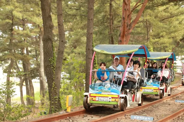 Two pedal carts with smiling riders on rails among pine trees