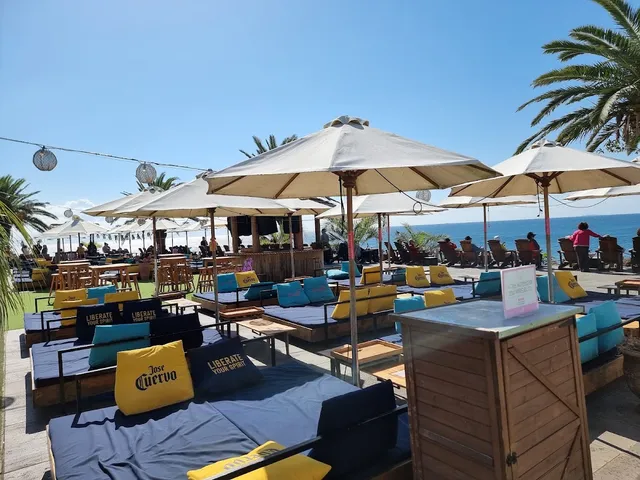 A terrace with lounge beds, yellow cushions and white umbrellas facing the sea and palm trees