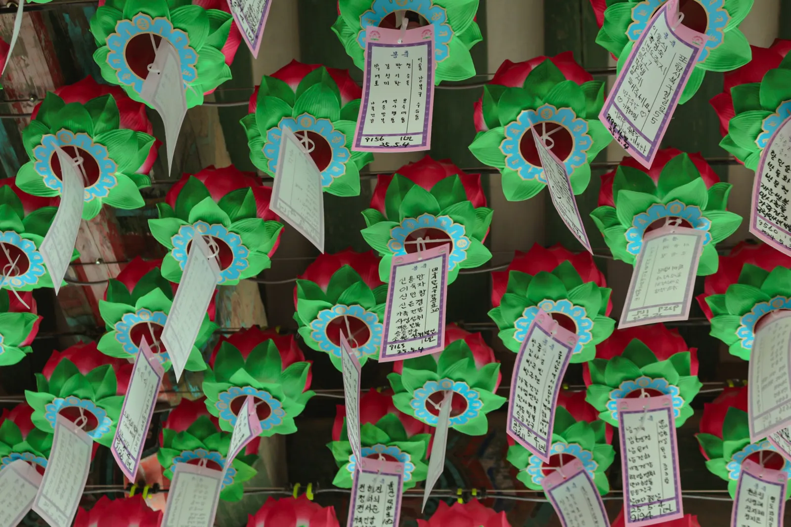 Rows of colourful paper lotus lanterns with hanging paper tags at a Korean temple